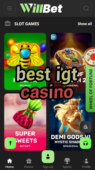 Best IGT Casino - Top IGT Slot Games-www.bdqngd.com